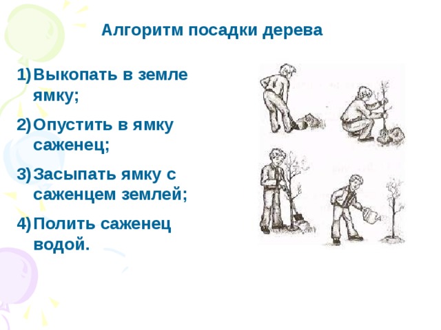 Алгоритм посадки дерева Выкопать в земле ямку; Опустить в ямку саженец; Засыпать ямку с саженцем землей; Полить саженец водой. 