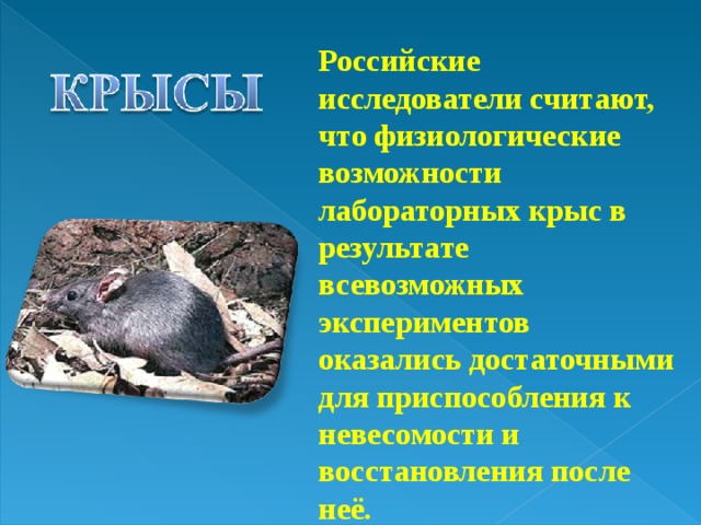 Российские исследователи считают, что физиологические возможности лабораторных крыс в результате всевозможных экспериментов оказались достаточными для приспособления к невесомости и восстановления после неё. 