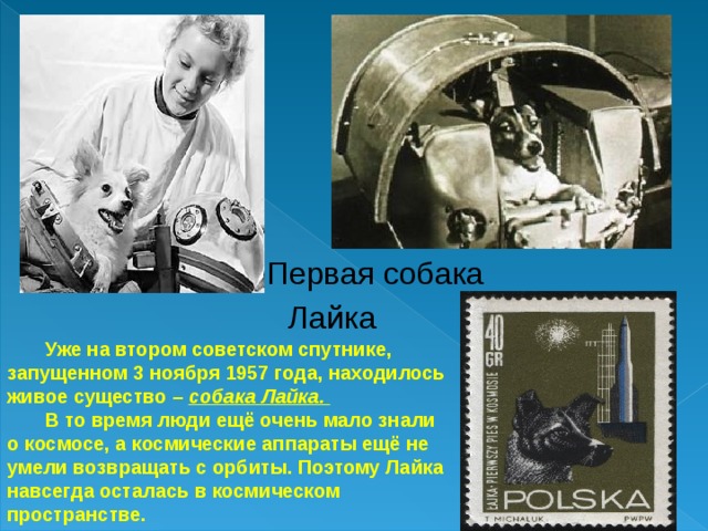 Первая собака Лайка  Уже на втором советском спутнике, запущенном 3 ноября 1957 года, находилось живое существо – собака Лайка.  В то время люди ещё очень мало знали о космосе, а космические аппараты ещё не умели возвращать с орбиты. Поэтому Лайка навсегда осталась в космическом пространстве. 