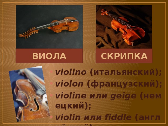 Скрипка королев. Виола отличие от скрипки. Виола скрипка разница. Разница между виолой и скрипкой. Скрипка Королева оркестра.