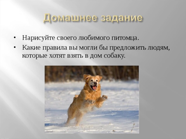 Ты можешь выбрать любого питомца которого захочешь