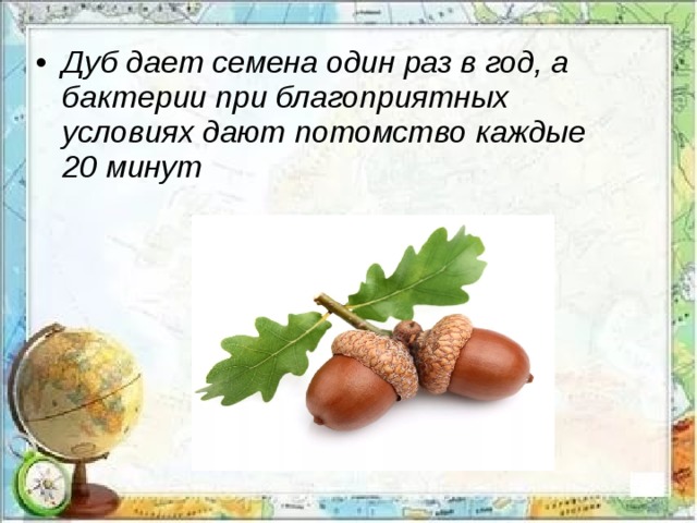 Дуба дам. Дать дуба. Дуб значение для человека. Что значит дать дуба. Дуб что дает животным.