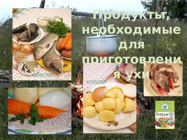 Продукты, необходимые для приготовления ухи 