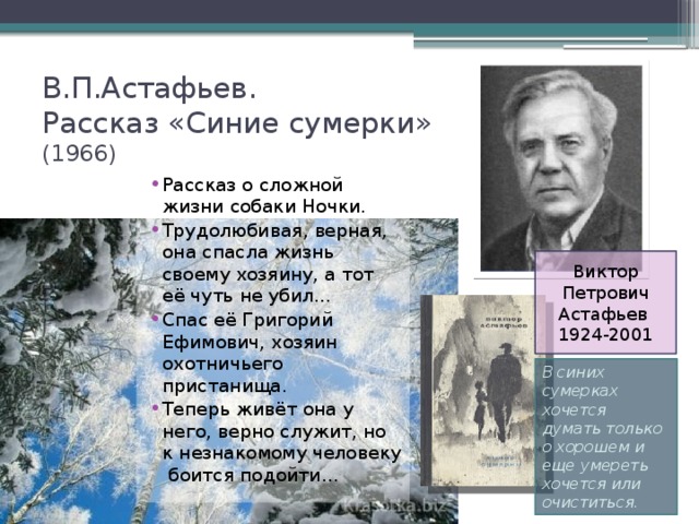 В.П.Астафьев.  Рассказ «Синие сумерки»  (1966) Рассказ о сложной жизни собаки Ночки. Трудолюбивая, верная, она спасла жизнь своему хозяину, а тот её чуть не убил… Спас её Григорий Ефимович, хозяин охотничьего пристанища. Теперь живёт она у него, верно служит, но к незнакомому человеку боится подойти… Виктор Петрович Астафьев 1924-2001 В синих сумерках хочется думать только о хорошем и еще умереть хочется или очиститься. 