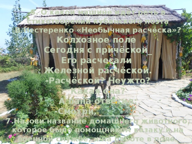 6. О какой машине идёт речь в стихотворении кубанского поэта В.Нестеренко «Необычная расчёска»?  Колхозное поле  Сегодня с причёской_  Его расчесали  Железной расчёской.  -Расчёской? Неужто?  Какая она?  А папа ответил:  -Смотри, _________.  7.Назови название домашнего животного, которое было помощником казаку и на военной службе, и на работе в поле. 
