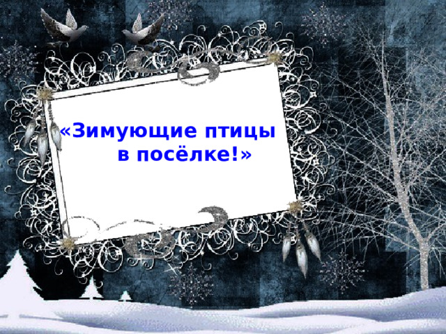    «Зимующие птицы в посёлке!»   