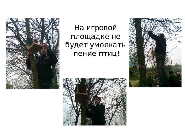 На игровой площадке не будет умолкать  пение птиц! 
