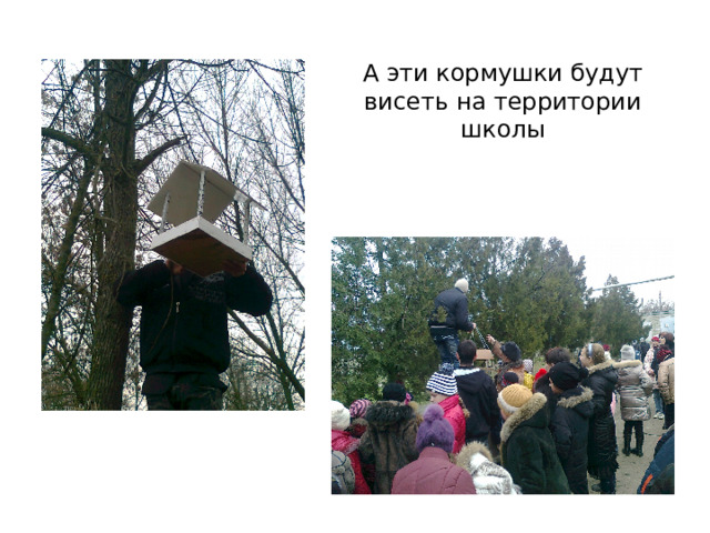 А эти кормушки будут висеть на территории школы 