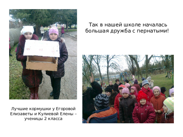 Так в нашей школе началась большая дружба с пернатыми! Лучшие кормушки у Егоровой Елизаветы и Кулиевой Елены – ученицы 2 класса 