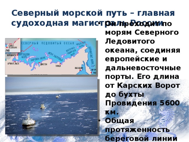 Северный морской путь – главная судоходная магистраль России Он проходит по морям Северного Ледовитого океана, соединяя европейские и дальневосточные порты. Его длина от Карских Ворот до бухты Провидения 5600 км. Общая протяженность береговой линии России 40 000 км. 