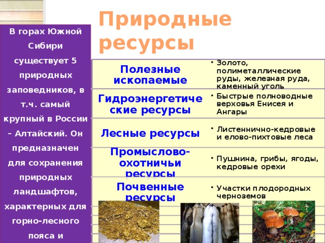 Ресурсы гор южной сибири