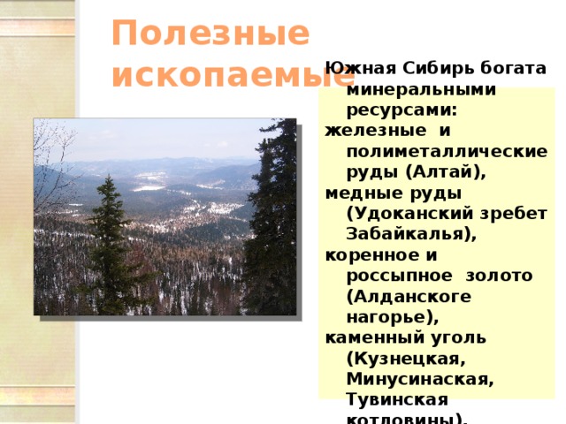 Полезные ископаемые Южная Сибирь богата минеральными ресурсами: железные и полиметаллические руды (Алтай), медные руды (Удоканский зребет Забайкалья), коренное и россыпное золото (Алданскоге нагорье), каменный уголь (Кузнецкая, Минусинаская, Тувинская котловины). 