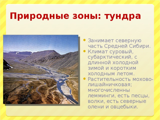 Природные зоны: тундра Занимает северную часть Средней Сибири. Климат суровый, субарктический, с длинной холодной зимой и коротким холодным летом. Растительность мохово-лишайничковая; многочисленны лемминги, есть песцы, волки, есть северные олени и овцебыки. 