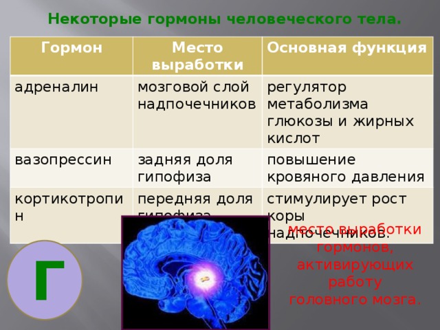 Регуляторы биомолекулярных процессов 11 класс презентация