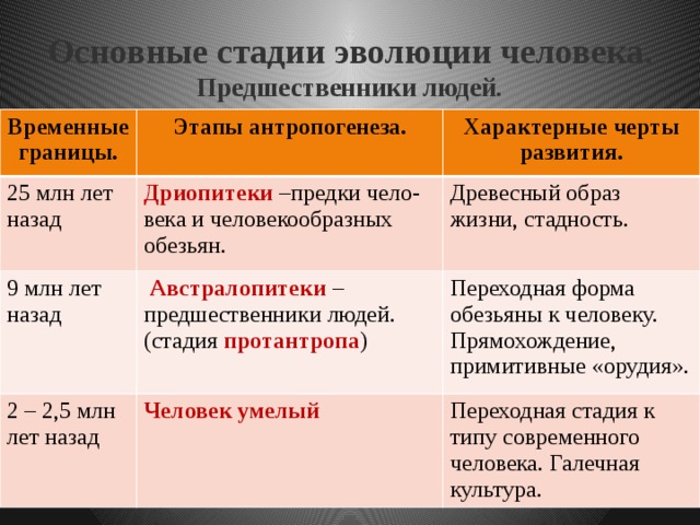 1 антропогенеза таблица
