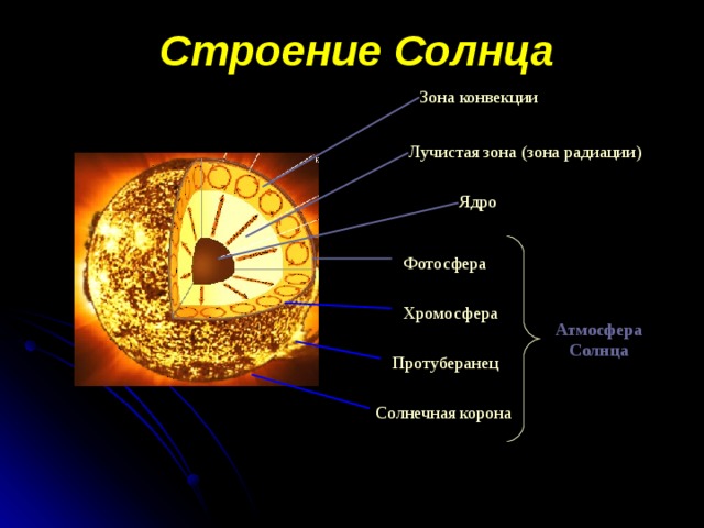 Строение Солнца Зона конвекции Лучистая зона ( зона радиации) Ядро Фотосфера Хромосфера Атмосфера Солнца Протуберанец Солнечная корона 