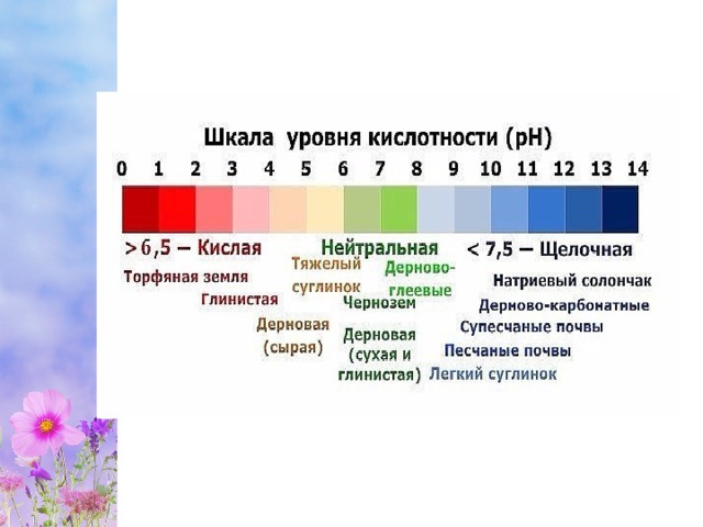 Какие годы нейтральные. Шкала PH почвы кислотности почвы. Кислотность почвы таблица PH. Шкала кислотности PH воды. Кислотность почвы шкала кислотности.