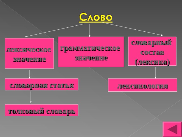 Лексикология культура речи 5 класс