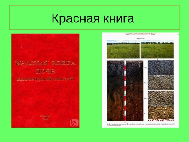 Красная книга