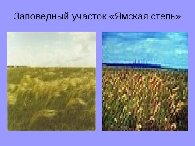 Заповедный участок «Ямская степь»