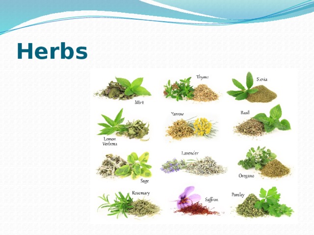 Herbs 