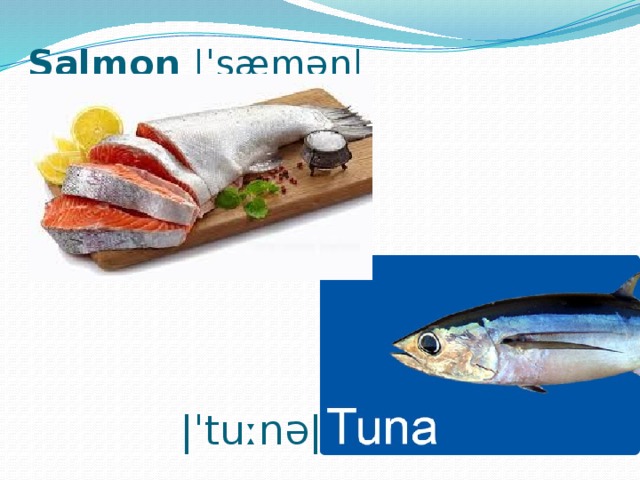 Salmon |ˈsæmən|  |ˈtuːnə| 