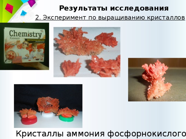 Результаты исследования 2. Эксперимент по выращиванию кристаллов Кристаллы аммония фосфорнокислого 