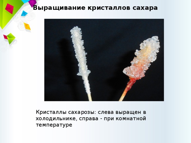 Выращивание кристаллов сахара Кристаллы сахарозы: слева выращен в холодильнике, справа - при комнатной температуре 