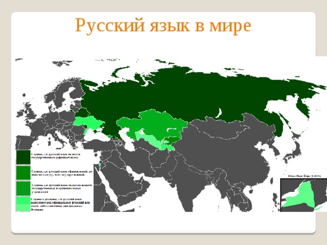 Русский язык в мире 