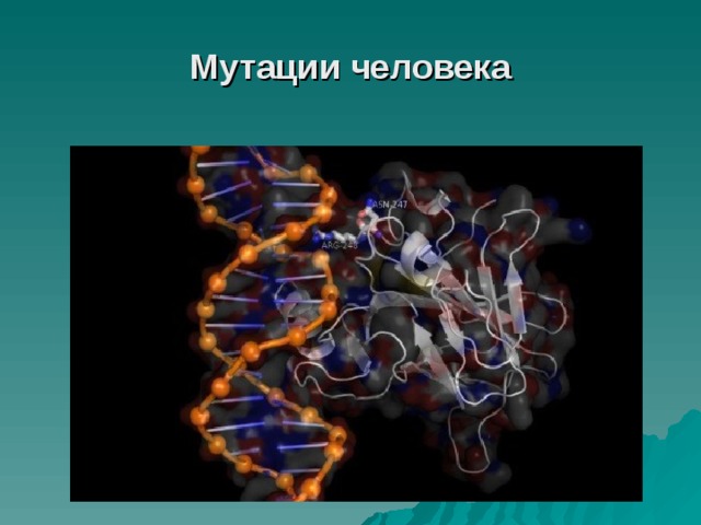Презентация на тему мутации человека