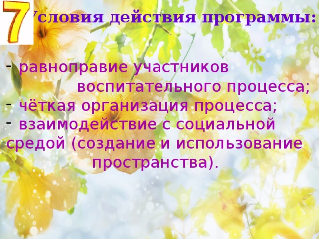 Условия действия программы:  равноправие участников  воспитательного процесса;  чёткая организация процесса;  взаимодействие с социальной средой (создание и использование  пространства). 