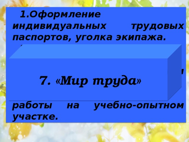 Оформление индивидуальных трудовых паспортов, уголка экипажа. Тимуровское движение. Субботники. Уход за комнатными растениями. Сельскохозяйственные работы на учебно-опытном участке. 7. «Мир труда» 