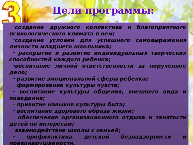Цели программы: создание дружного коллектива и благоприятного психологического климата в нем; создание условий для успешного самовыражения личности младшего школьника;  раскрытие и развитие индивидуальных творческих способностей каждого ребенка; воспитание личной ответственности за порученное дело;  развитие эмоциональной сферы ребенка;  формирование культуры чувств;  воспитание культуры общения, внешнего вида и поведения;  привитие навыков культуры быта;  воспитание здорового образа жизни;  обеспечение организационного отдыха и занятости детей по интересам; взаимодействие школы с семьей;  профилактика детской безнадзорности и правонарушаемости. 