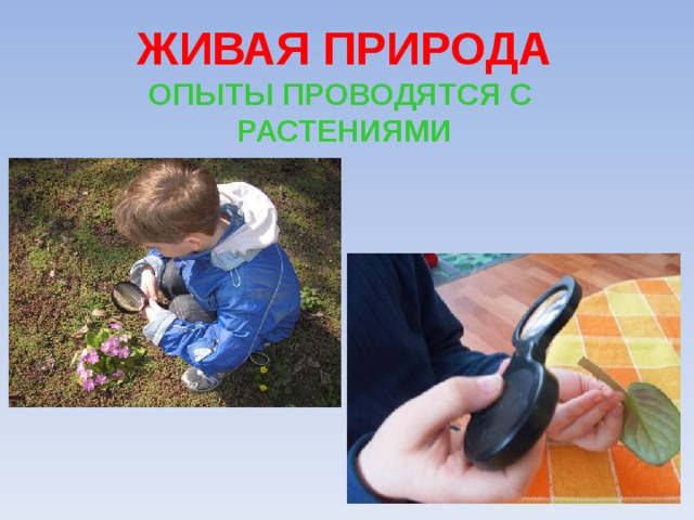 Опыты природы. Эксперименты с живой природой. Эксперимент в природе. Опыты на природе. Опыты о природе для школьников.