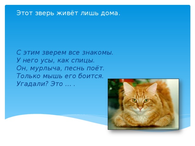 Этот зверь живёт лишь дома.      С этим зверем все знакомы.  У него усы, как спицы.  Он, мурлыча, песнь поёт.  Только мышь его боится.  Угадали? Это … . 