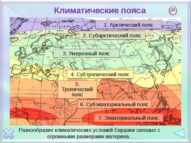 Фото по пояс название