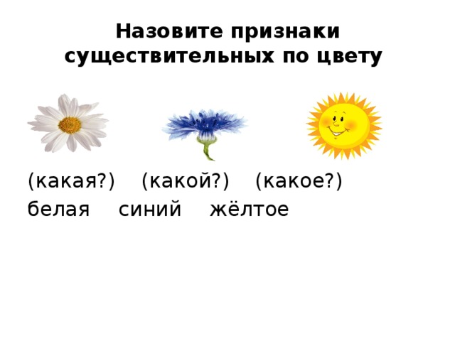 Назовите признаки существительных по цвету (какая?)   (какой?)   (какое?) белая   синий   жёлтое 