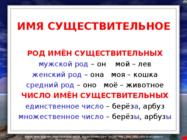 ИМЯ СУЩЕСТВИТЕЛЬНОЕ  РОД ИМЁН СУЩЕСТВИТЕЛЬНЫХ  мужской род – он мой – лев  женский род – она моя – кошка  средний род – оно моё – животное  ЧИСЛО ИМЁН СУЩЕСТВИТЕЛЬНЫХ  единственное число – берёз а , арбуз  множественное число – берёз ы , арбуз ы 