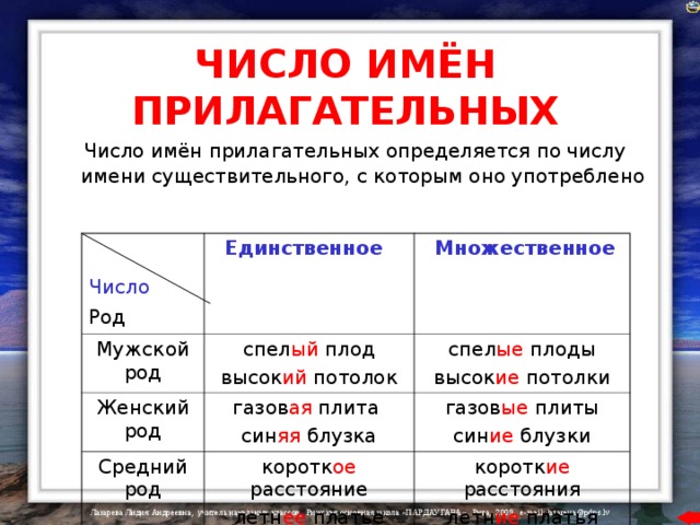 ЧИСЛО ИМЁН ПРИЛАГАТЕЛЬНЫХ  Число имён прилагательных определяется по числу имени существительного, с которым оно употреблено  Число  Род Мужской род  Единственное  Множественное спел ый плод высок ий потолок Женский род спел ые плоды высок ие потолки Средний род газов ая плита син яя блузка газов ые плиты син ие блузки коротк ое расстояние летн ее платье коротк ие расстояния летн ие платья 