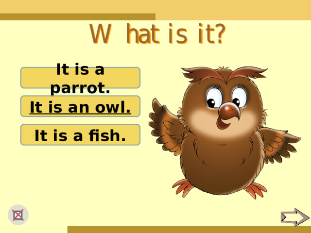 It is a parrot. It is an owl. It is a fish. 
