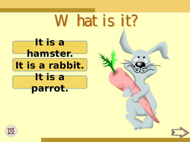 It is a hamster. It is a rabbit. It is a parrot. 