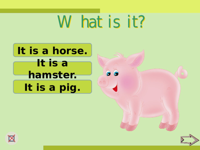 It is a horse. It is a hamster. It is a pig. 