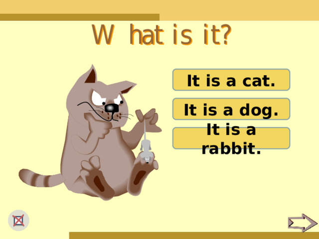 It is a cat. It is a dog. It is a rabbit. 