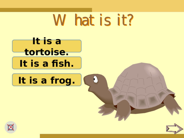 It is a tortoise. It is a fish. It is a frog. 