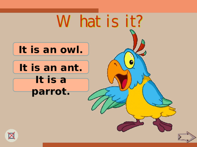 It is an owl. It is an ant. It is a parrot. 