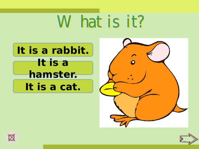 It is a rabbit. It is a hamster. It is a cat. 