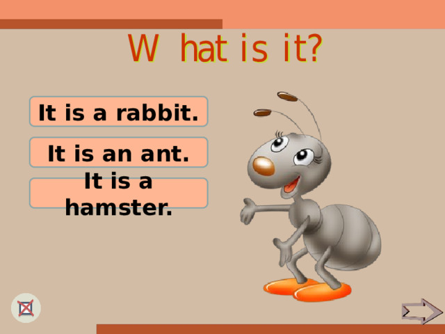 It is a rabbit. It is an ant. It is a hamster. 