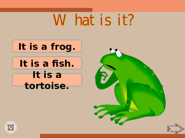 It is a frog. It is a fish. It is a tortoise. 