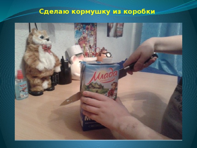 Сделаю кормушку из коробки 