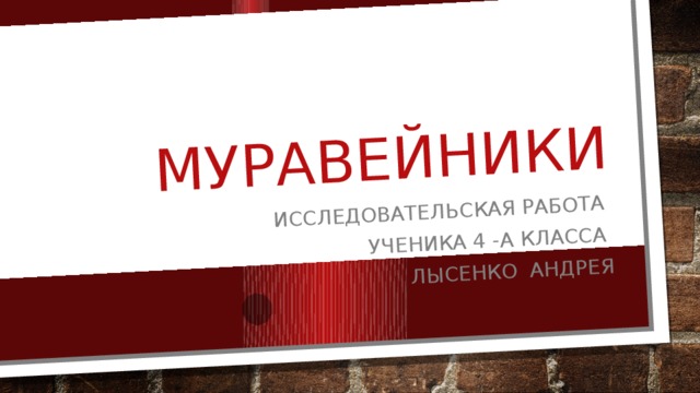 Муравейники Исследовательская работа Ученика 4 -А класса Лысенко Андрея 